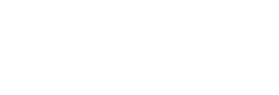 Near Protocol